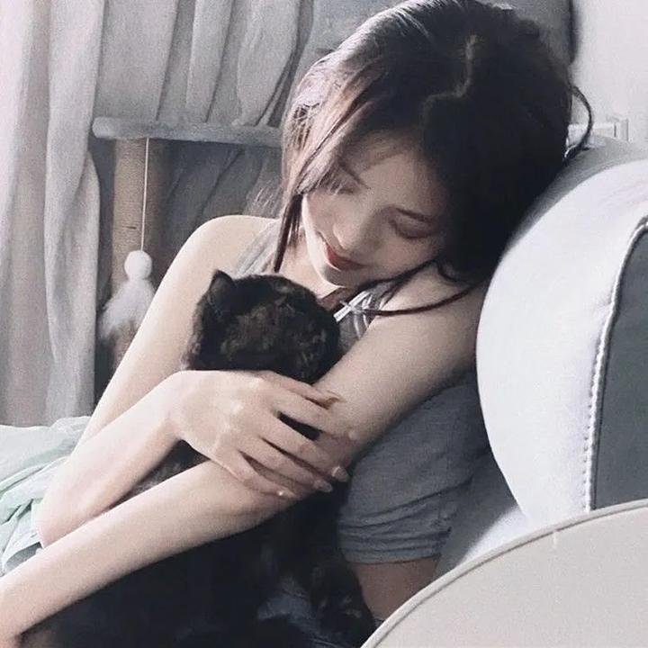 海豚的故事2