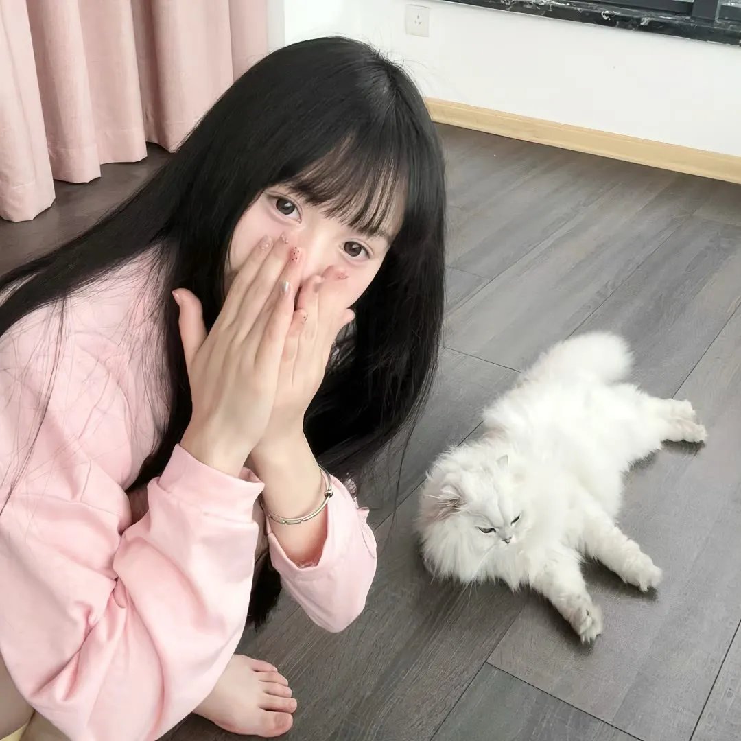 新死亡游戏